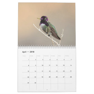 2018 Wild Bird Calendar