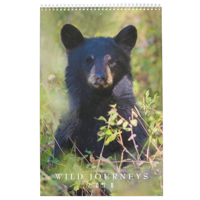 2018 Wildlife Wall Calendar - Wildlife Photography (Cover)