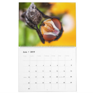 2019 Bug Eyed Beauties Macro Photography Calendar