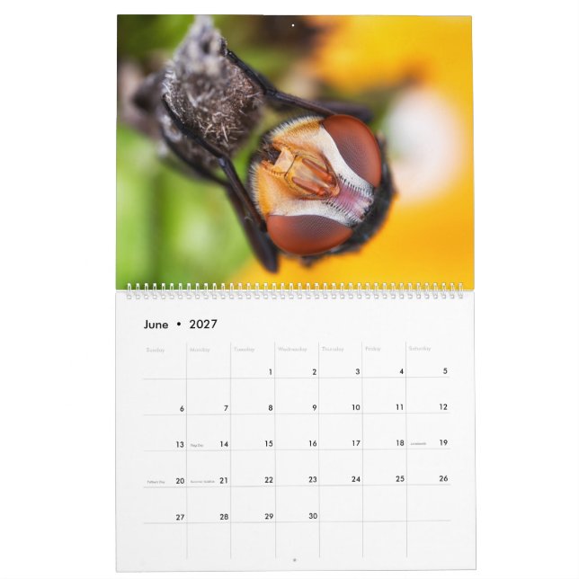 2019 Bug Eyed Beauties Macro Photography Calendar (Jun 2027)