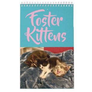2019 Foster Kitten Calendar