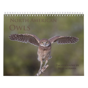 2019 North American Owl Wall Calendar