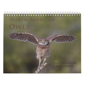 2019 North American Owl Wall Calendar