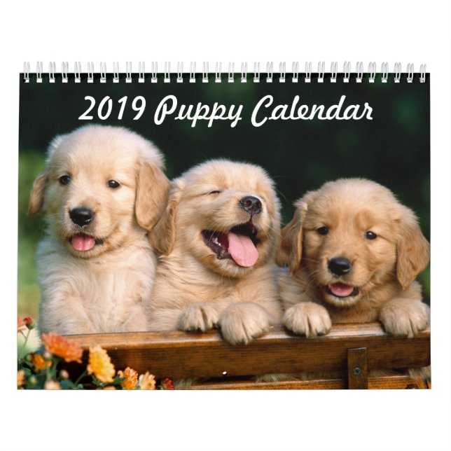2019 Puppy Calendar (Cover)
