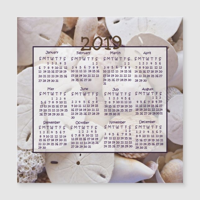 2019 Shells Sand Dollar Mini Magnet Calendars (Front)