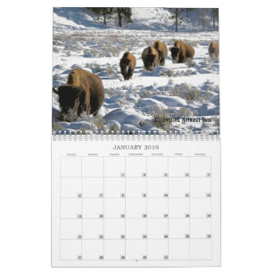 2019 US Public Lands Wildlife Calendar