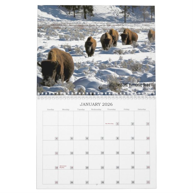 2019 US Public Lands Wildlife Calendar (Jan 2026)