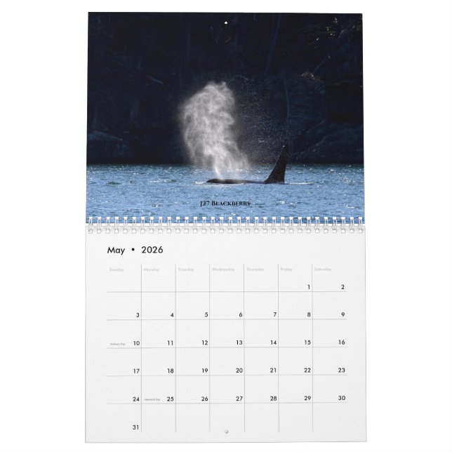 2020 Calendar Southern Resident Killer Whales (May 2026)