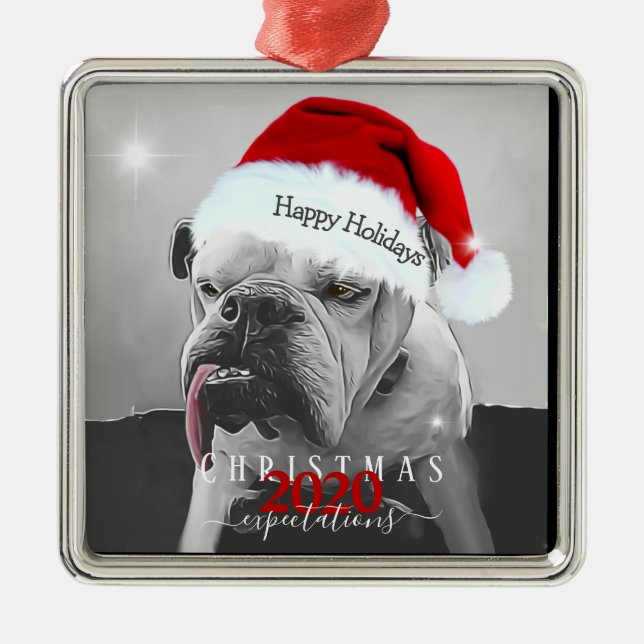 2020 Christmas expectations, Huey in Santa hat. Metal Ornament (Front)