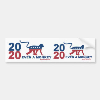 2020 Even a monkey for US president. Bumper Sticker