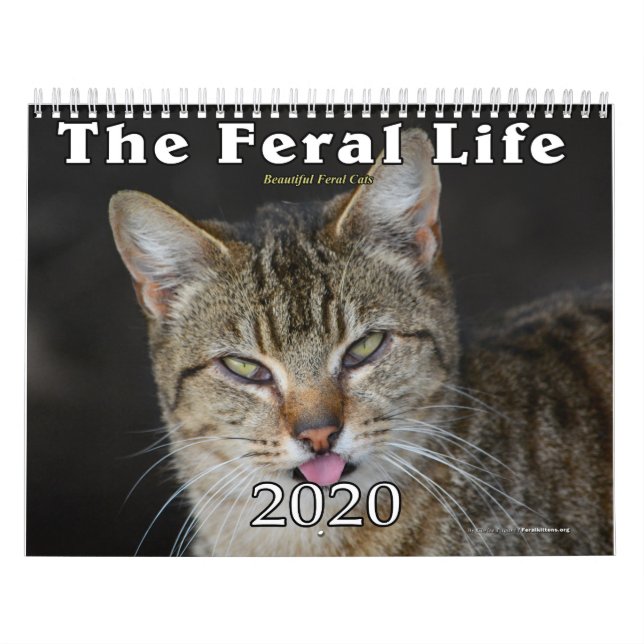 2020 Feral Cats Calendar, The Feral Life Calendar (Cover)