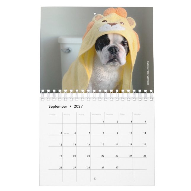2020 French Bulldog Calendar - Cooper the Frenchie (Sep 2027)