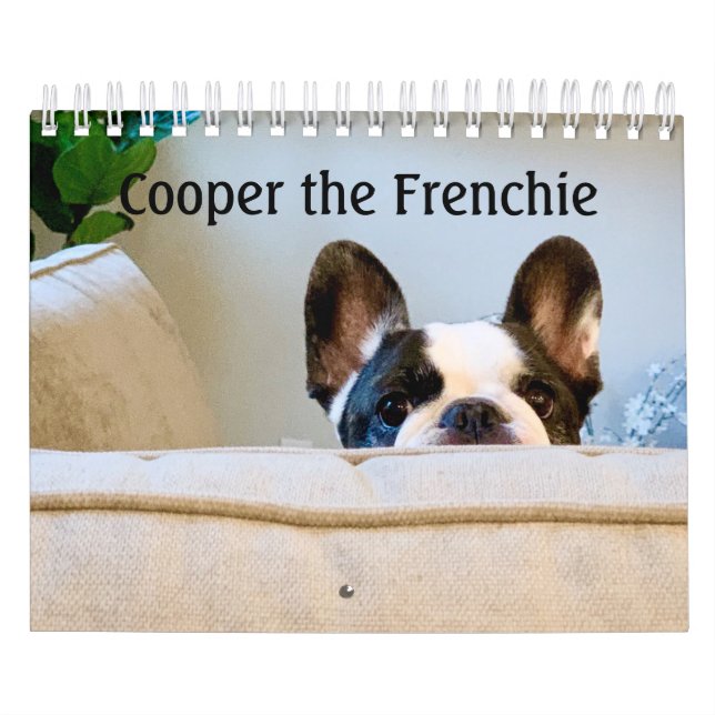 2020 French Bulldog Calendar - Cooper the Frenchie (Cover)
