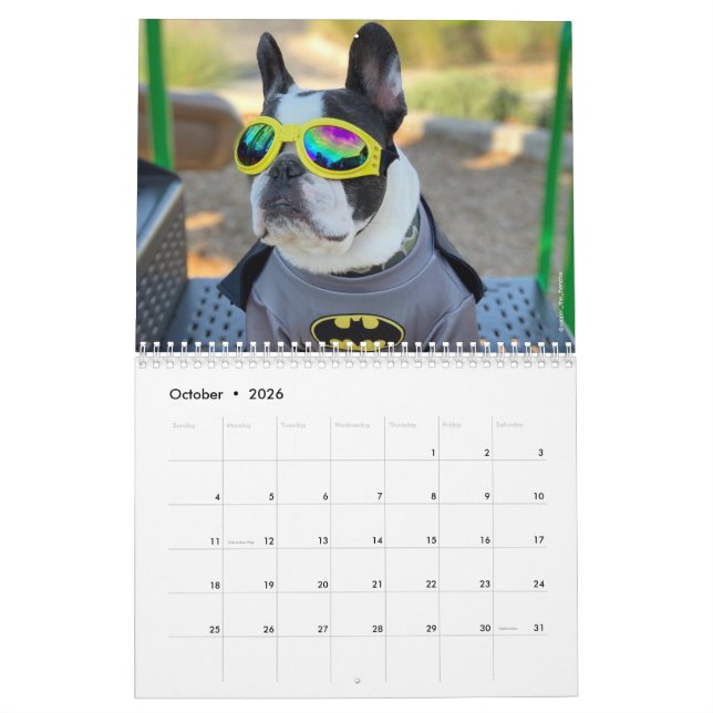 2020 French Bulldog Calendar for Dog Lovers! (Oct 2026)