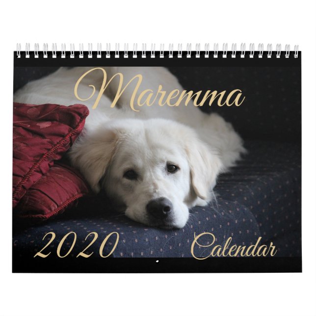 2020 Maremma Calendar (Cover)