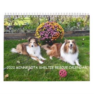 2020 MINNESOTA SHELTIE RESCUE CALENDAR