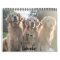 2020 ParkerPup & Friends Golden Retriever Calendar