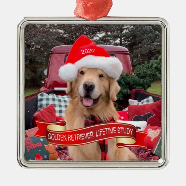 2020 Pewter GRLS Ornament (Front)