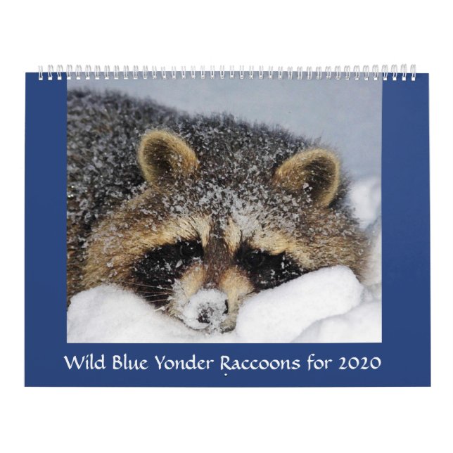 2020 Raccoon Calendar from Wild Blue Yonder . (Cover)