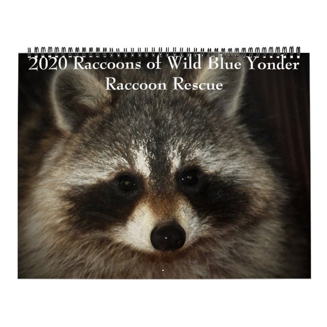 2020 Raccoons of Wild Blue Yonder Raccoon Rescue Calendar (Cover)