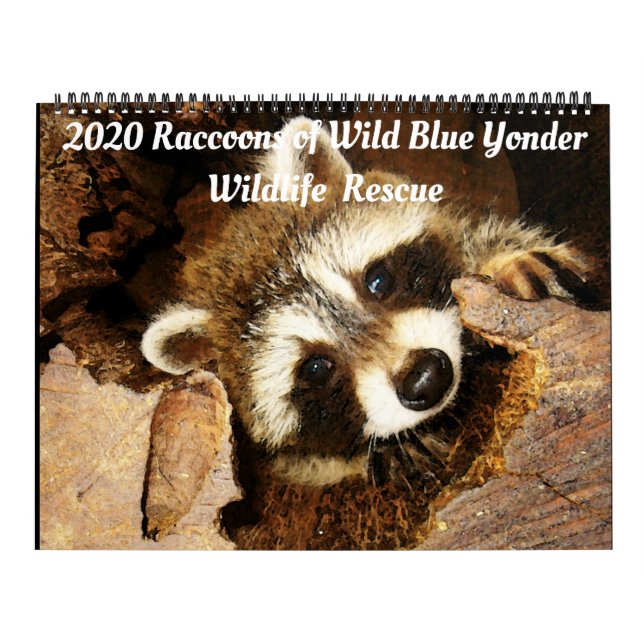 2020 Raccoons of Wild Blue Yonder Wildlife Rescue Calendar (Cover)