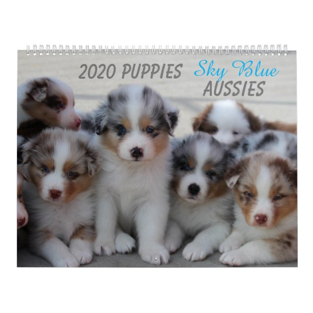 2020 Sky Blue Aussies Calendar (Cover)