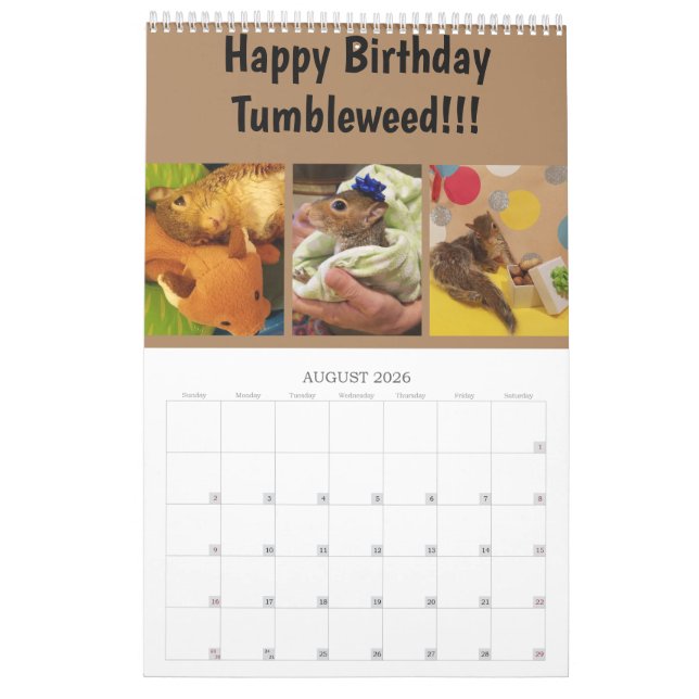 2020 Tumbleweed Calendar (Aug 2026)
