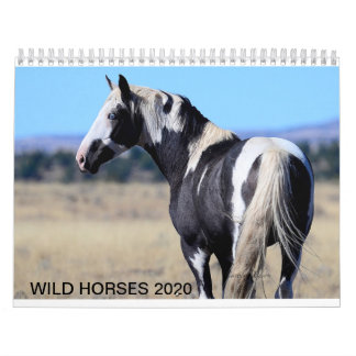 2020 wild mustang calander calendar