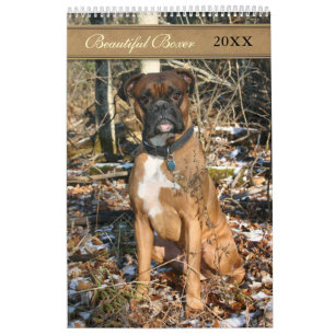 2021 Beautiful Boxer Dog Calendar