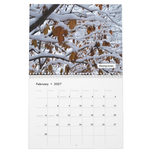 2021 Calendar (Feb 2027)