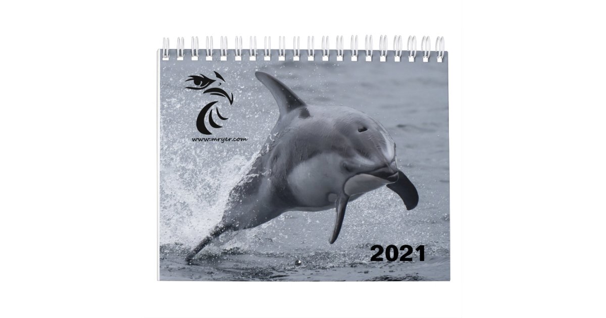 2021 Calendar Pacific White Sided Dolphins Zazzle.ca
