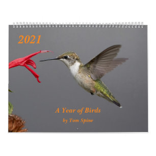 2021 ~ Calendrier de l'année des oiseaux