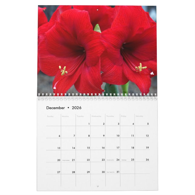 2021 - Calendrier des jardins de Lin (Dec 2026)