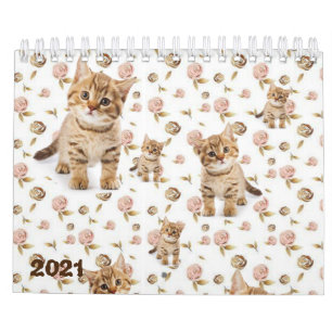 2021 Calendrier Kittens Cats