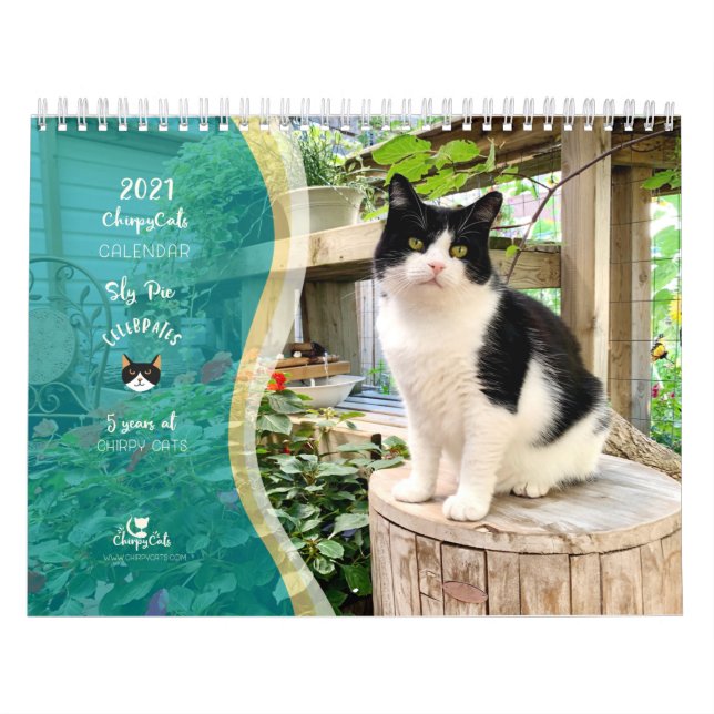 2021 Cat Wall Calendar, Life of Sly Pie Calendar (Cover)