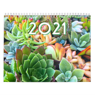 2021 Colorful Succulent Plant Garden Calendar