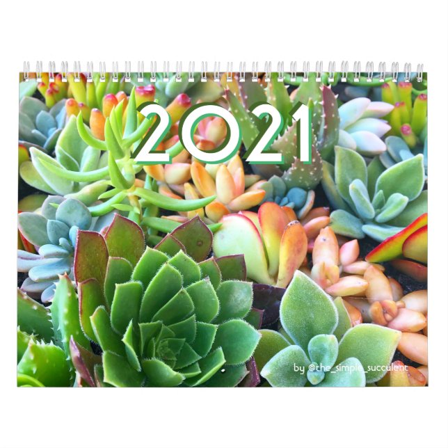 2021 Colorful Succulent Plant Garden Calendar (Cover)