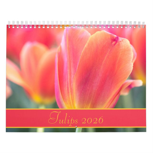 2021 Colourful Tulips Photography Calendar (Cover)