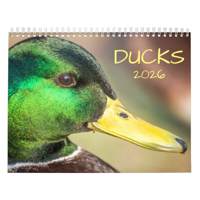 2021 Ducks Photography Calendar (Cover)