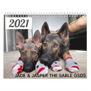 2021 Jade & Jasper the Sable GSD's Calendar