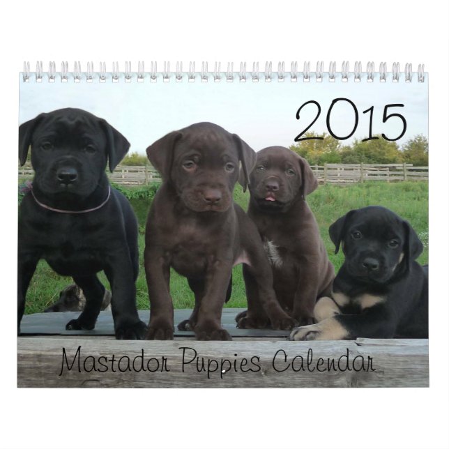 2021 Mastador Puppies Calendar (Cover)