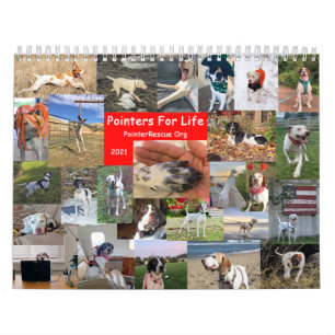 2021 Pointers For Life Calendar from PointerRescue