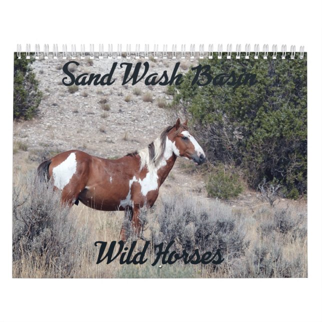 2021 Sand Wash Basin Wild Horse Calendar (Cover)