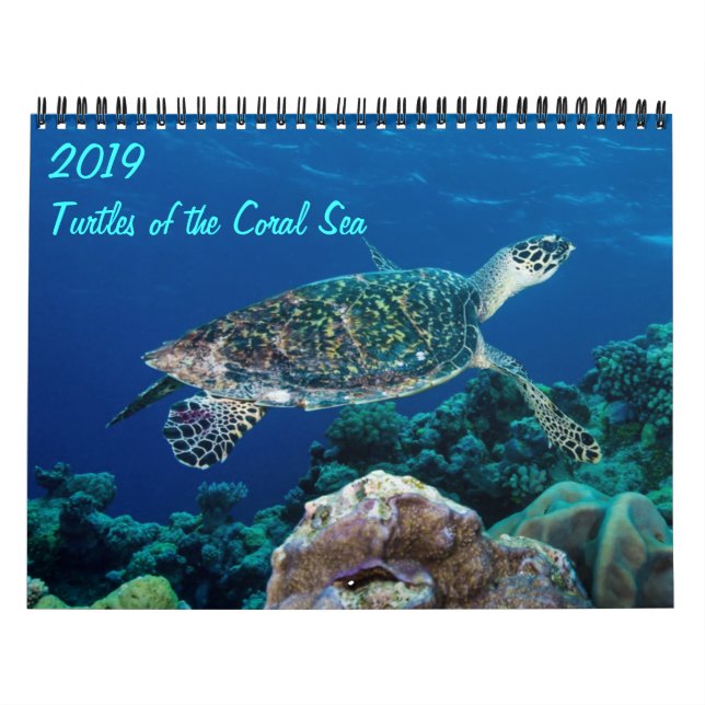2021 Sea Turtles of the Coral Sea Calendar (Cover)