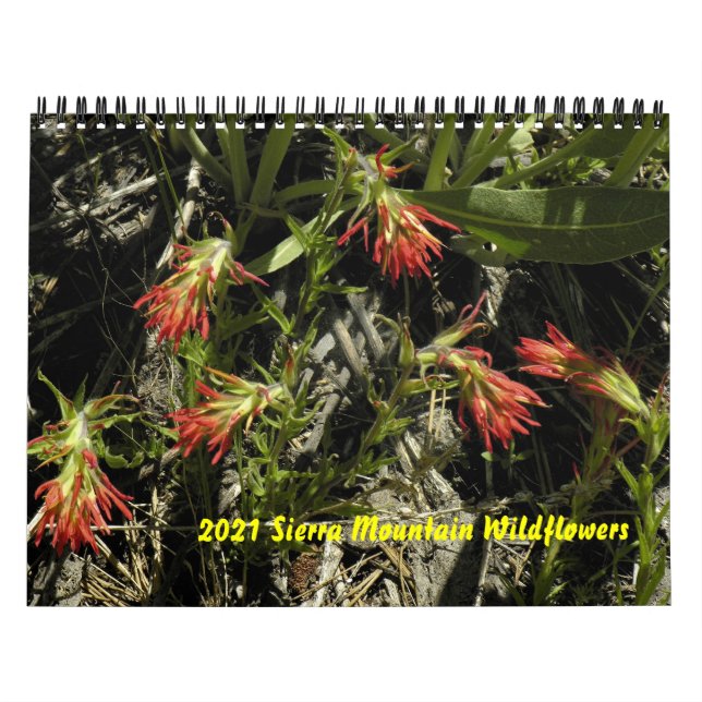 2021 Sierra Mountain Wildflower Calendar (Cover)