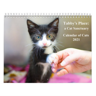 2021 Tabby's Place Calendar