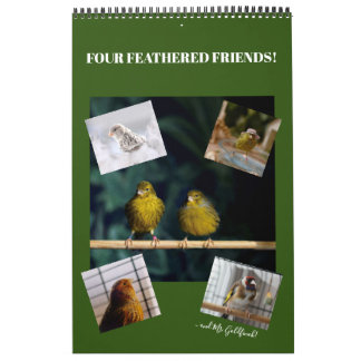 2021 Wall Calendar Cute Birds Pets Canary