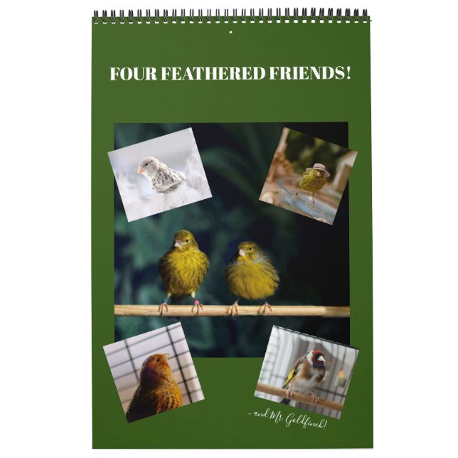 2021 Wall Calendar Cute Birds Pets Canary (Cover)