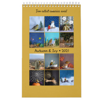 2021 Wall Calendar Cute Birds Pets Canary
