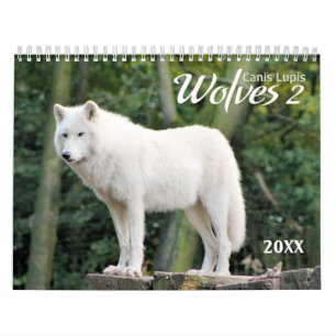2021 Wolves 2 Calendrier de la photographie de la